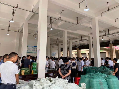 上周大事件 巴广渝高速新增测速点明起启用，重庆农业迎来发展新机遇