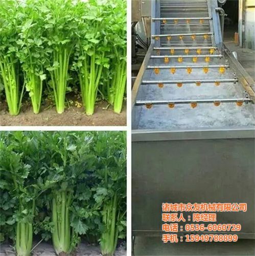 重庆清洗设备,诸城众友机械