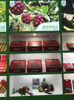 怀化特色农产品出彩重庆 赋能山地农业创新探索
